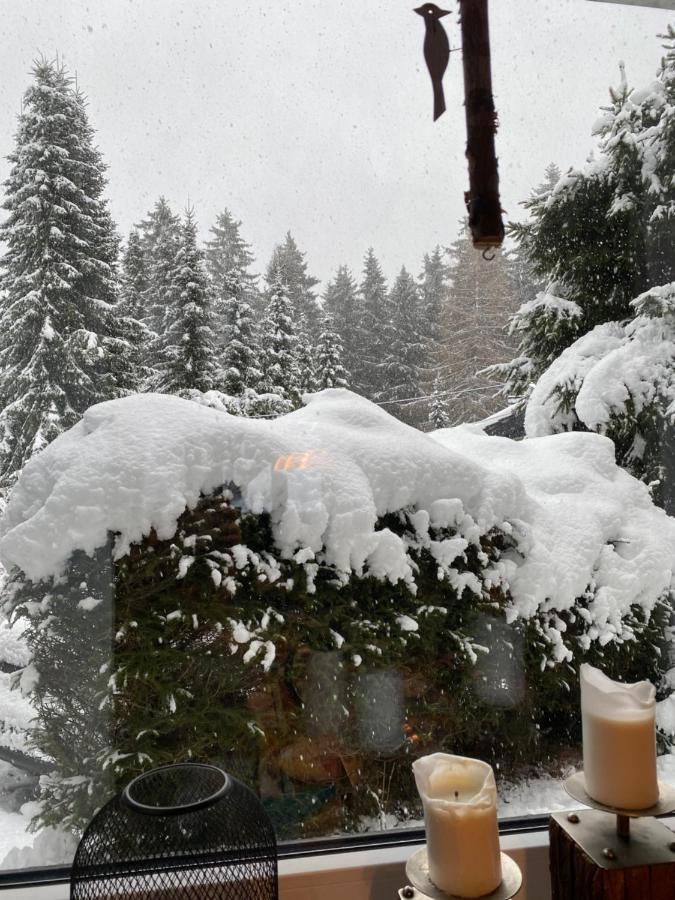 Schoenwald Waldchalet Am Musenberg Stryck Exteriör bild