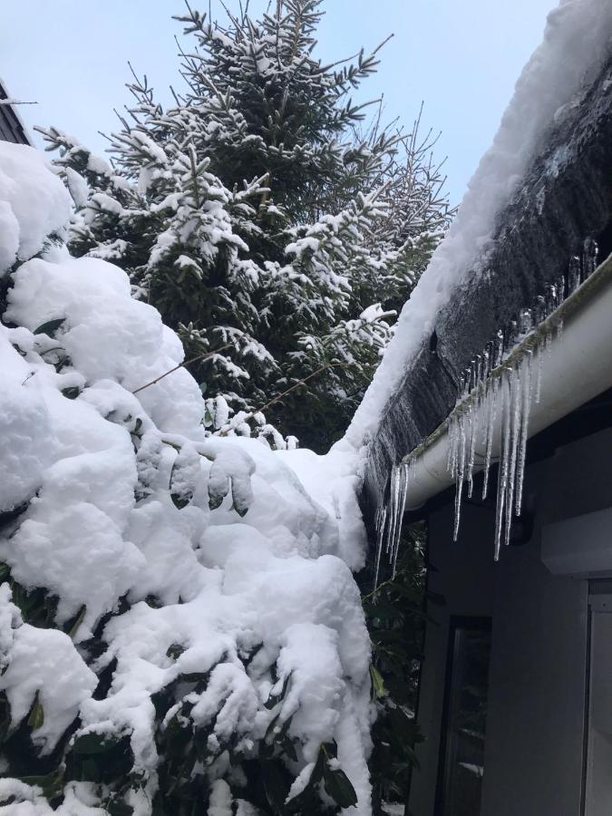 Schoenwald Waldchalet Am Musenberg Stryck Exteriör bild