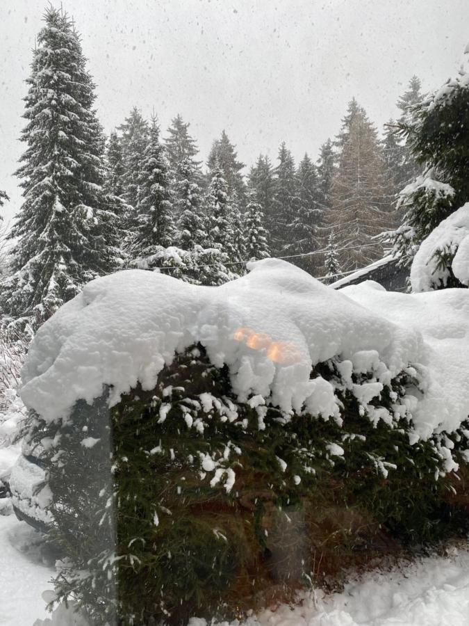 Schoenwald Waldchalet Am Musenberg Stryck Exteriör bild
