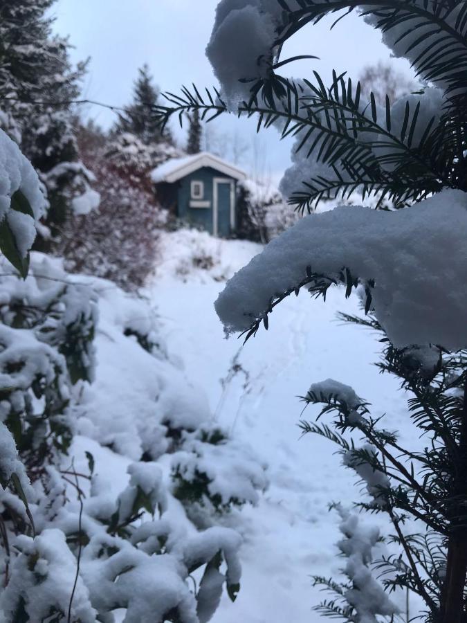 Schoenwald Waldchalet Am Musenberg Stryck Exteriör bild