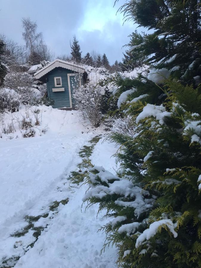 Schoenwald Waldchalet Am Musenberg Stryck Exteriör bild